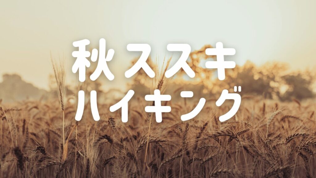 関西大阪の40代登山ハイキングサークル TOMATOハイキングがおすすめする「関西ススキハイキング」ページ　メイン画像