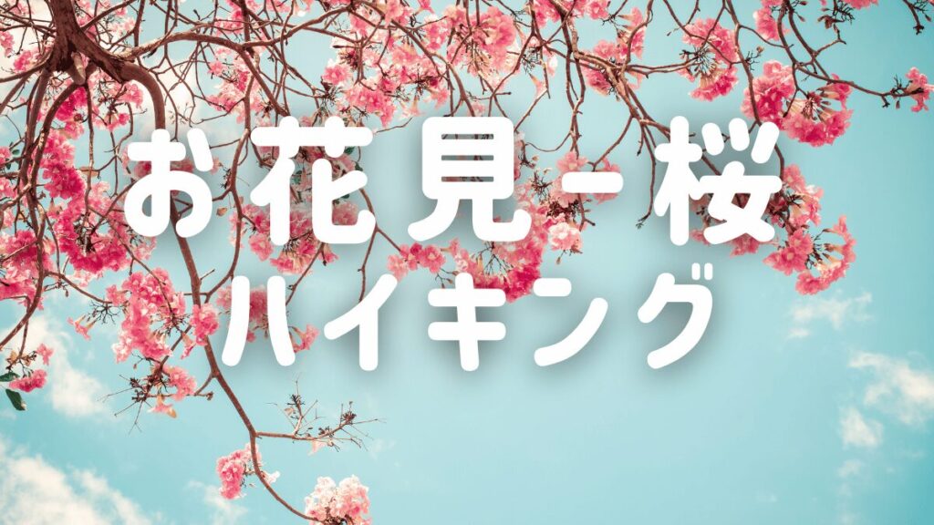 関西大阪の40代登山ハイキングサークル TOMATOハイキングがおすすめする「関西お花見ハイキングー桜」ページ　メイン画像