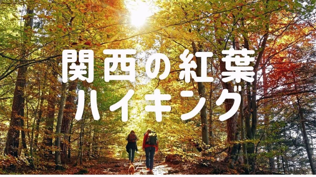 関西大阪の40代登山ハイキングサークル TOMATOハイキングがおすすめする「関西紅葉ハイキング」ページ　メイン画像