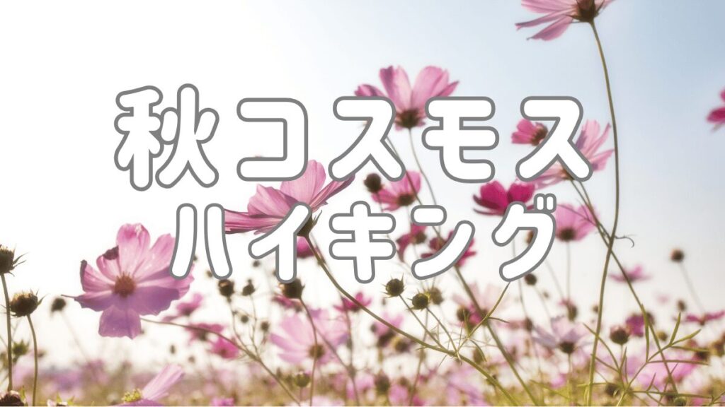 関西大阪の40代登山ハイキングサークル TOMATOハイキングがおすすめする「関西コスモスハイキング」ページ　メイン画像
