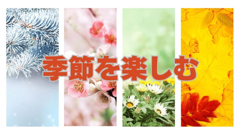 季節のハイキングのページのメイン画像